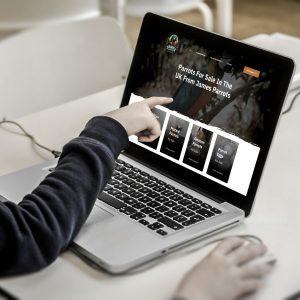 Search Engine Optimisation Essex